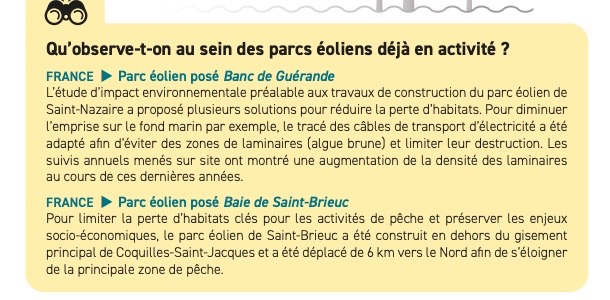 France Energies Marines publie avec le soutien du SER et de France Renouvelables un aperçu des pressions identifiées pour l’éolien en mer