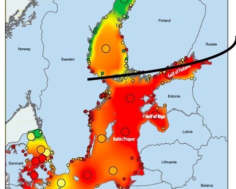 Est-ce que les parcs en mer d’OX2 peuvent aider à oxygéner la mer Baltique ?