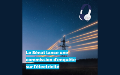 Sénat : « Nucléaire » à la commission d’enquête sur « la production, la consommation et le prix de l’électricité aux horizons 2035 et 2050 »