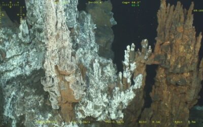 Les surprenantes capacités d’adaptation de la faune des sources hydrothermales profondes