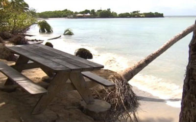 Le Cerema renforce sa présence auprès des collectivités d’outre-mer avec l’ouverture d’une agence antilles