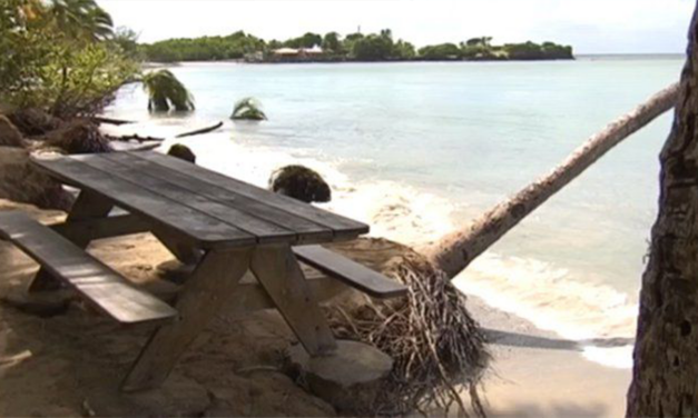 Le Cerema renforce sa présence auprès des collectivités d’outre-mer avec l’ouverture d’une agence antilles