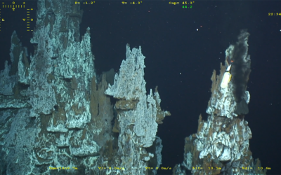 Les surprenantes capacités d’adaptation de la faune des sources hydrothermales profondes