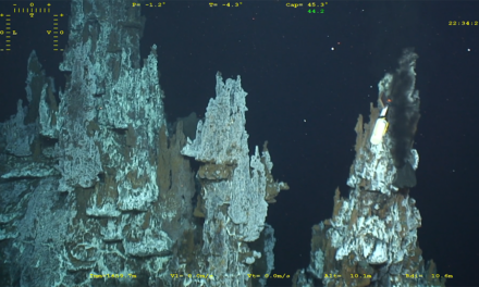 Les surprenantes capacités d’adaptation de la faune des sources hydrothermales profondes
