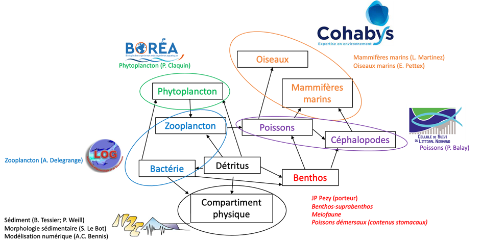 Le bilan 2023 du GIS Eolien en Mer autour du parc éolien en mer de Dieppe Le Tréport