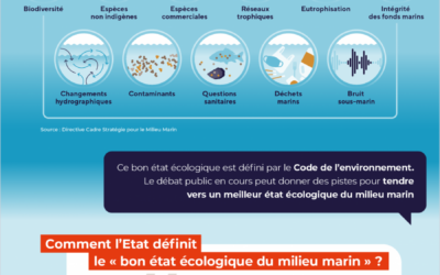 2ème Mardis de la mer en débat : La mer et le changement climatique, quelles interdépendances ?