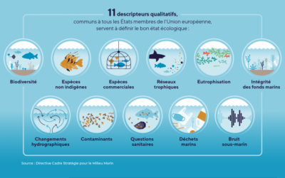 2ème Mardis de la mer en débat : La mer et le changement climatique, quelles interdépendances ?