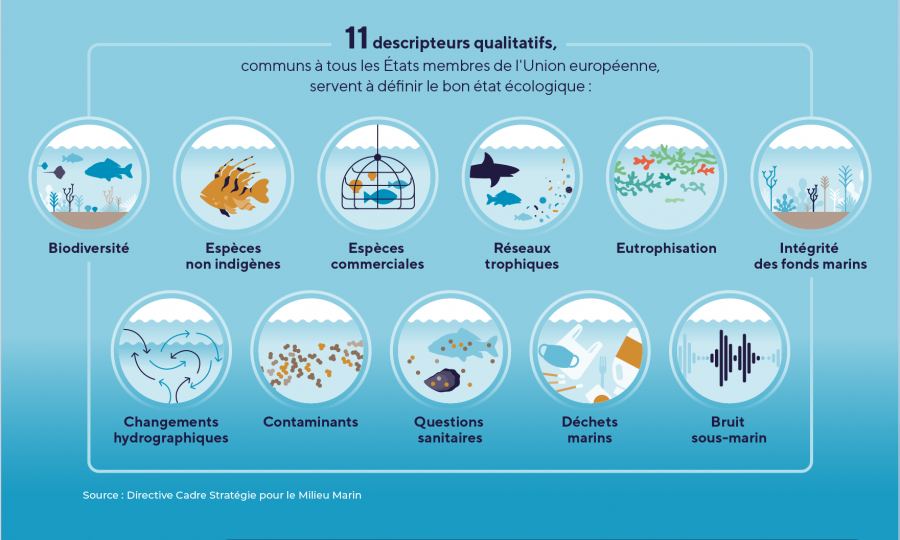 2ème Mardis de la mer en débat : La mer et le changement climatique, quelles interdépendances ?