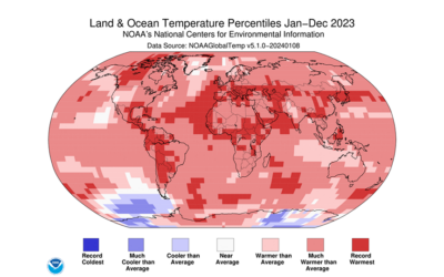 Températures mondiales : 2023, l’année la plus chaude depuis le début des relevés mondiaux en 1850