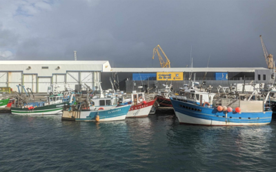 Bilan des journées MESSH – Mathematics for bio-economics and sustainability of fisheries,