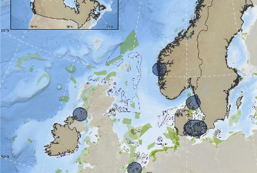 Atlantique Nord-Est : un projet de € 1,6 million pour suivre les mouvements et la répartition de la faune aquatique