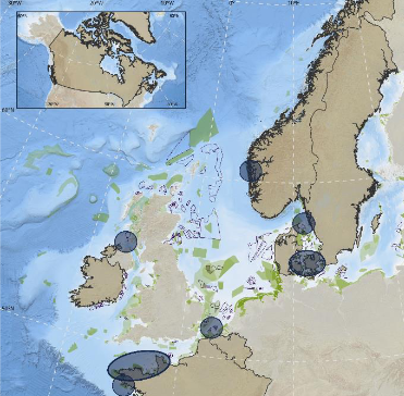 Atlantique Nord-Est : un projet de € 1,6 million pour suivre les mouvements et la répartition de la faune aquatique