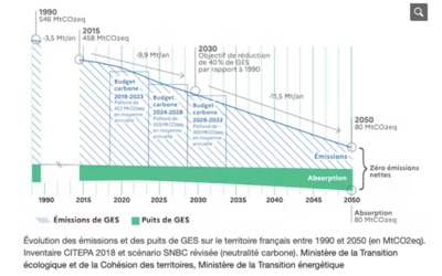 CO2 : Avant l’attribution de crédits carbone, il conviendrait d’actualiser les stocks de carbone à l’échelle mondiale
