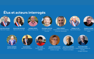 Débat Public « La Mer en Débat » : Étude complémentaire, retour d&rsquo;expérience des élus sur le parc éolien en mer de Saint-Nazaire