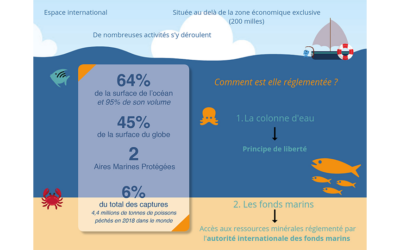 Traité BBNJ sur la biodiversité marine : seuls 2 pays sur 60 l’ont ratifié à ce jour