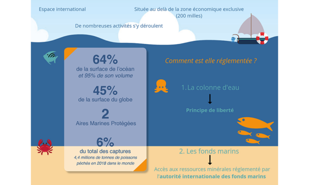 Traité BBNJ sur la biodiversité marine : seuls 2 pays sur 60 l’ont ratifié à ce jour