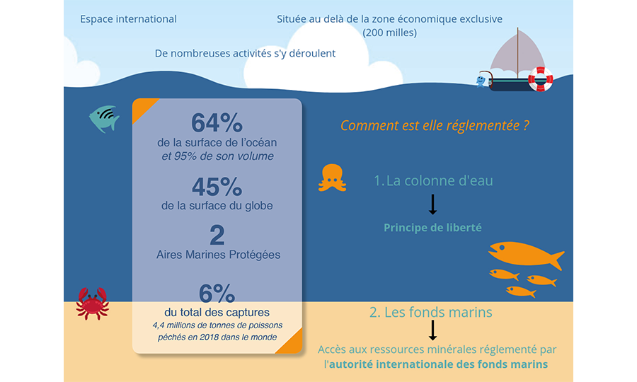 Traité BBNJ sur la biodiversité marine : seuls 2 pays sur 60 l’ont ratifié à ce jour