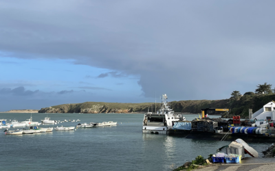 L’université de Bretagne Sud complète son offre de formation aux métiers des ports de plaisance