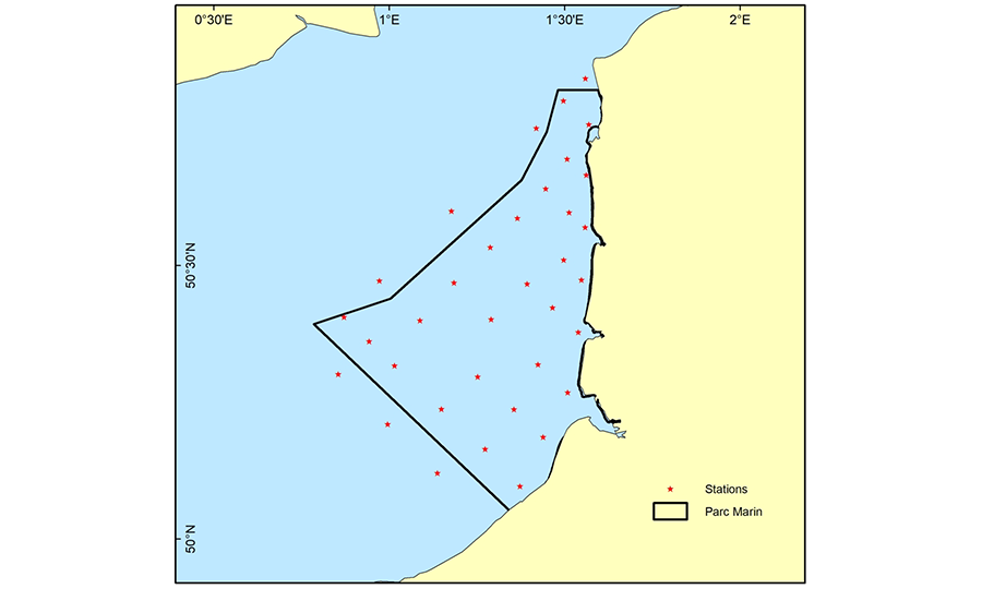 La protection des espaces marins passe par la cartographie des planctons