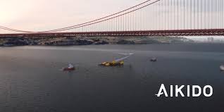 Aikido Technologies a levé $ 4 millions pour son éolienne flottante