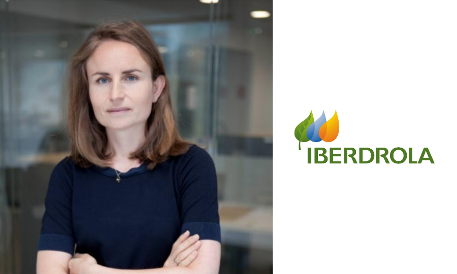 Marie Thabard (Iberdrola France) : « Toutes les données des impacts environnementaux du parc de Saint-Brieuc sont disponibles » -1