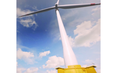 Thistle Wind Partners : début de l’évaluation environnementale par ABPmer