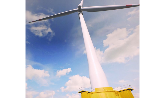 Thistle Wind Partners : début de l’évaluation environnementale par ABPmer