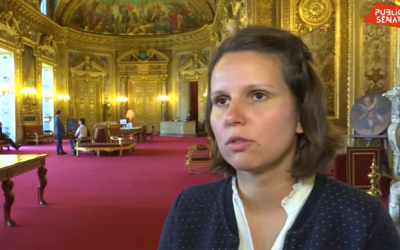 La dissolution entraine la suspension des travaux parlementaires