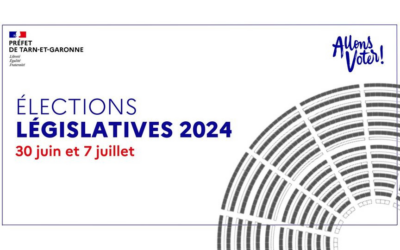 Elections législatives : taux de participation à 17h00