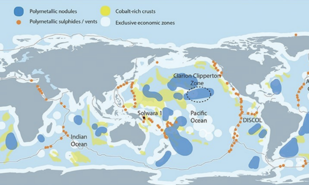 Enjeux de l’été : Les grands fonds marins – suite