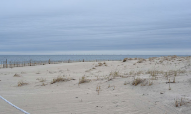 BOEM : Mise à disposition de l’étude impact environnemental finale pour le projet d’US Wind