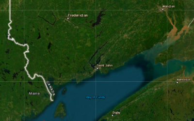 Feuilleton de l’été : Les macareux de l&rsquo;île Machias Seal dans la Baie de Fundy