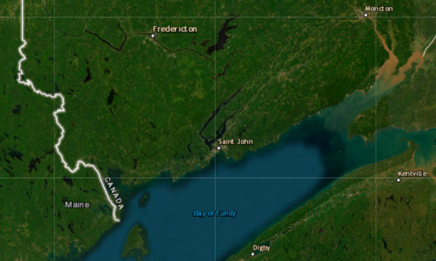 Feuilleton de l’été : Les macareux de l&rsquo;île Machias Seal dans la Baie de Fundy