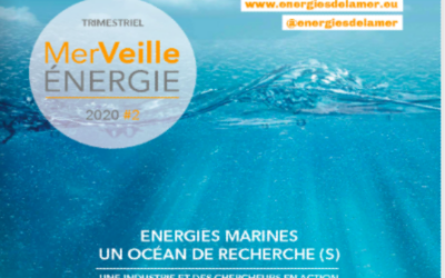 Face au défi énergétique, l’urgence de réinventer les ports par Sylvain Roche