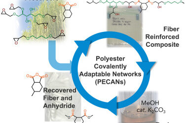 Innovation : fabriquer des pales d’éoliennes bio-dérivées qui peuvent être recyclées et réutilisées