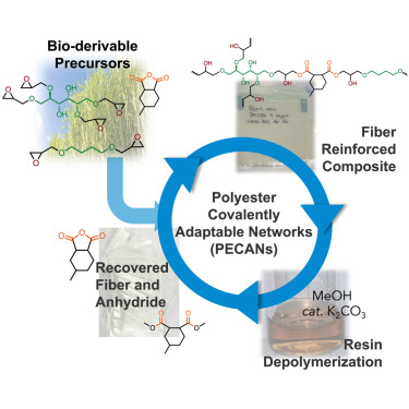 Innovation : fabriquer des pales d&rsquo;éoliennes bio-dérivées qui peuvent être recyclées et réutilisées