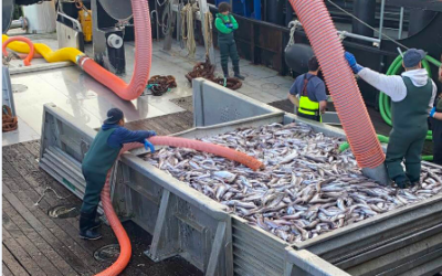 «Ce retard est un revers, mais il ne diminue en rien notre engagement envers le développement de l&rsquo;éolien offshore», déclare le BOEM – 2