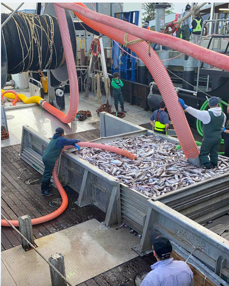 «Ce retard est un revers, mais il ne diminue en rien notre engagement envers le développement de l&rsquo;éolien offshore», déclare le BOEM – 2