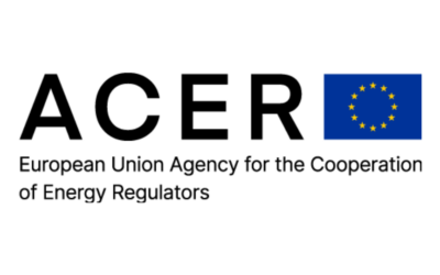 Kseniya Khromova est nommée au titre de co-présidente du Comité REMIT de l’ACER