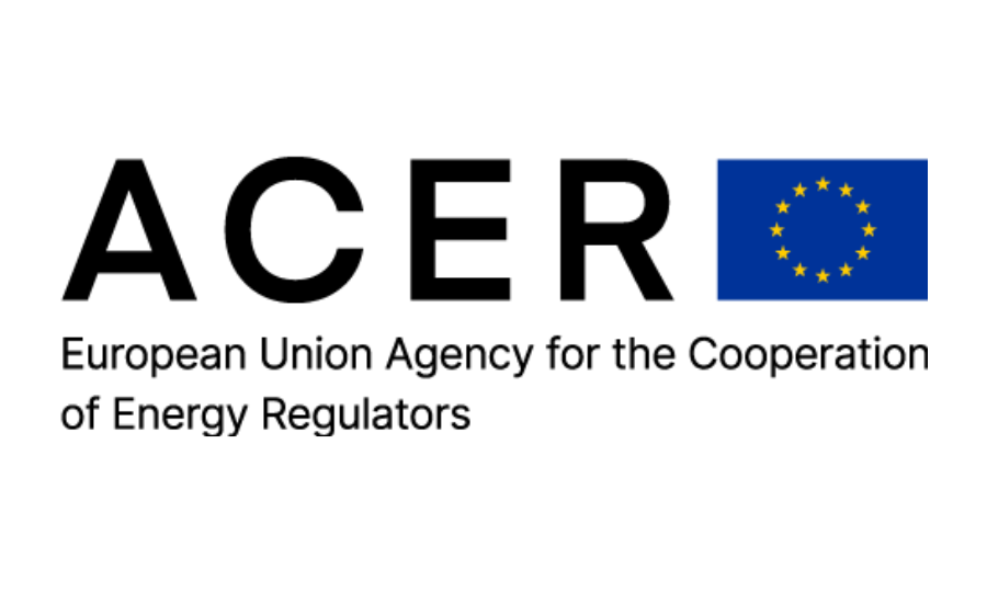 Kseniya Khromova est nommée au titre de co-présidente du Comité REMIT de l’ACER