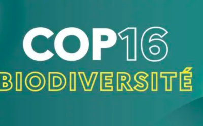 La France annonce une contribution de 5 millions d’euros au Fonds du cadre mondial pour la biodiversité (GBFF)