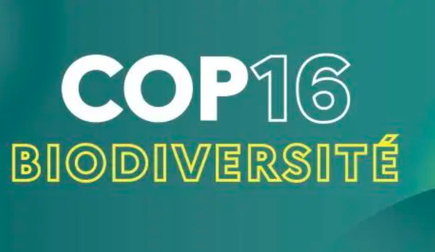 La France annonce une contribution de 5 millions d’euros au Fonds du cadre mondial pour la biodiversité (GBFF)