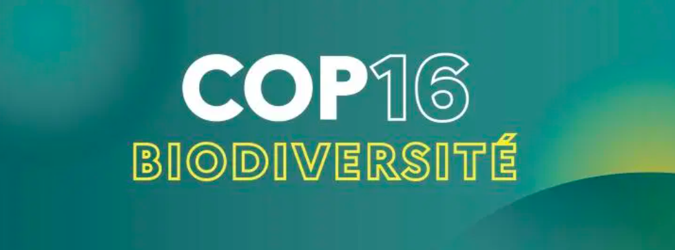 La France annonce une contribution de 5 millions d’euros au Fonds du cadre mondial pour la biodiversité (GBFF)