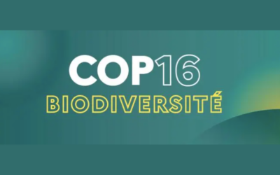 La France annonce une contribution de 5 millions d’euros au Fonds du cadre mondial pour la biodiversité (GBFF)