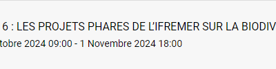 Les principaux événements d&rsquo;octobre, novembre et décembre à ne pas manquer – À vos agendas !