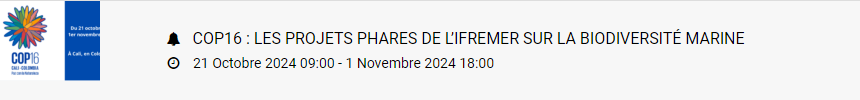 Les principaux événements d&rsquo;octobre, novembre et décembre à ne pas manquer – À vos agendas !