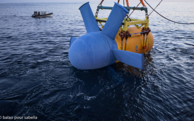 L’hydrolienne D10 de Sabella est sauvée des eaux !