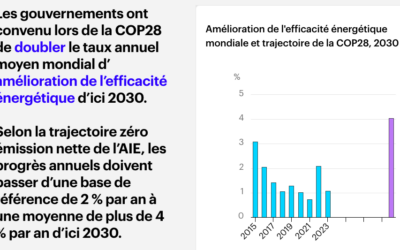 AIE : Les énergies renouvelables sont en passe de produire près de la moitié de l&rsquo;électricité mondiale d&rsquo;ici à 2030