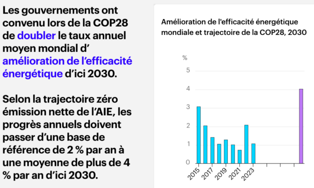 AIE : Les énergies renouvelables sont en passe de produire près de la moitié de l&rsquo;électricité mondiale d&rsquo;ici à 2030