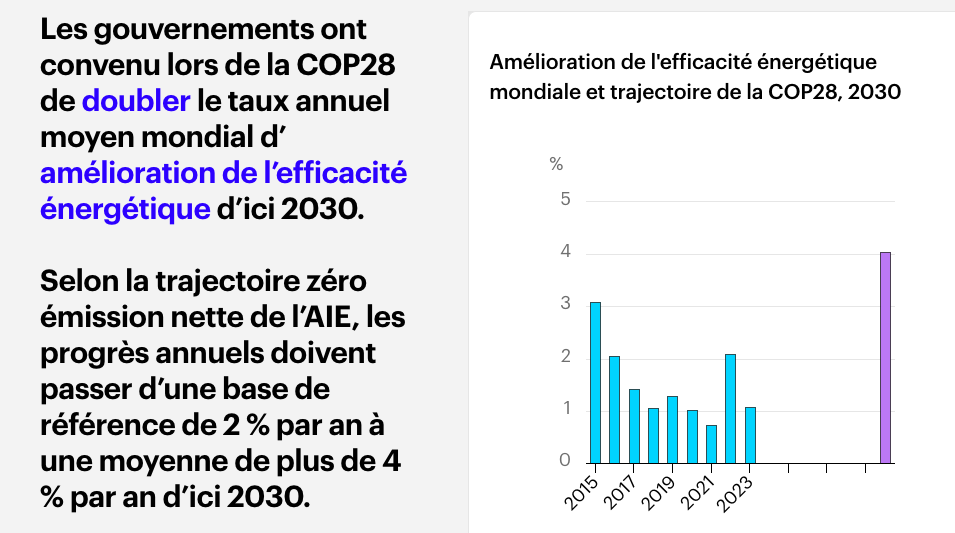 AIE : Les énergies renouvelables sont en passe de produire près de la moitié de l&rsquo;électricité mondiale d&rsquo;ici à 2030